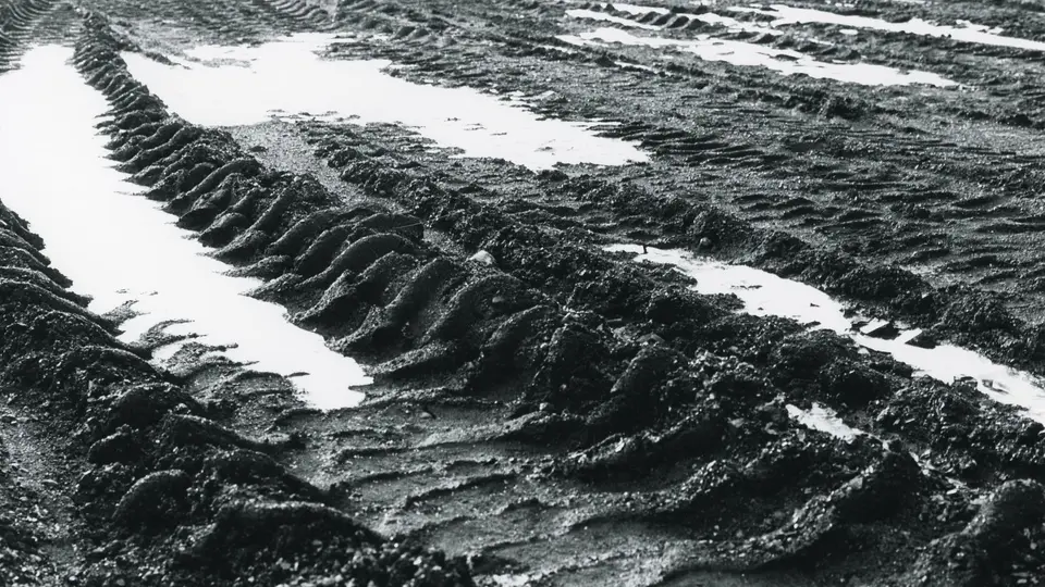 Wet sludge lying in an open yard