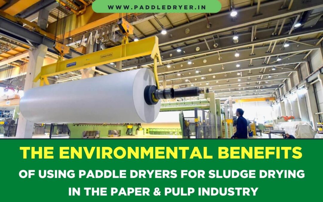 The Environmental Benefits of Using Paddle Dryers for Sludge Drying in the Paper & Pulp Industry