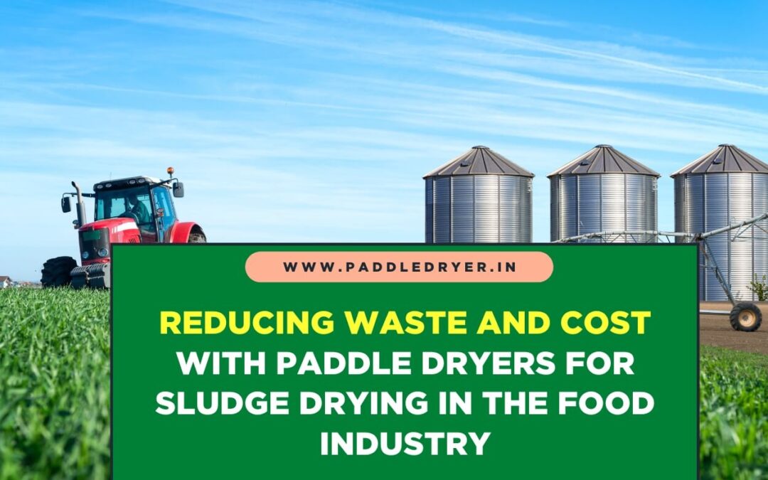 Reducing Waste and Cost with Paddle Dryers for Sludge Drying in the Food Industry