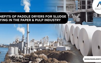 The Environmental Benefits of Using Paddle Dryers for Sludge Drying in the Paper & Pulp Industry