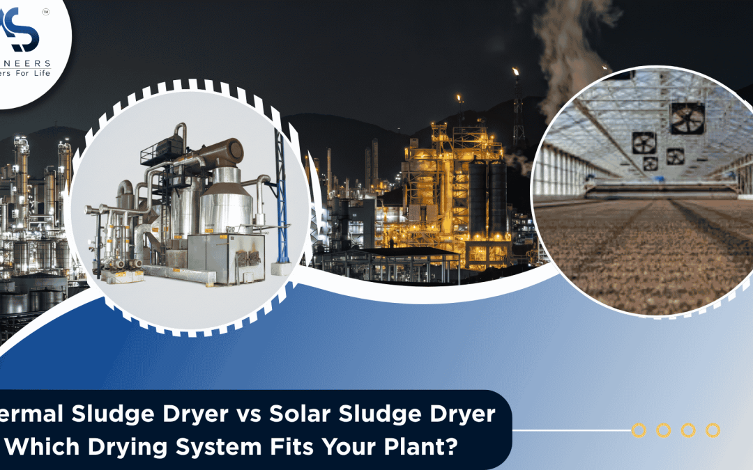 Thermal Sludge Dryer vs Solar Sludge Dryer: Which Drying System Fits Your Plant?
