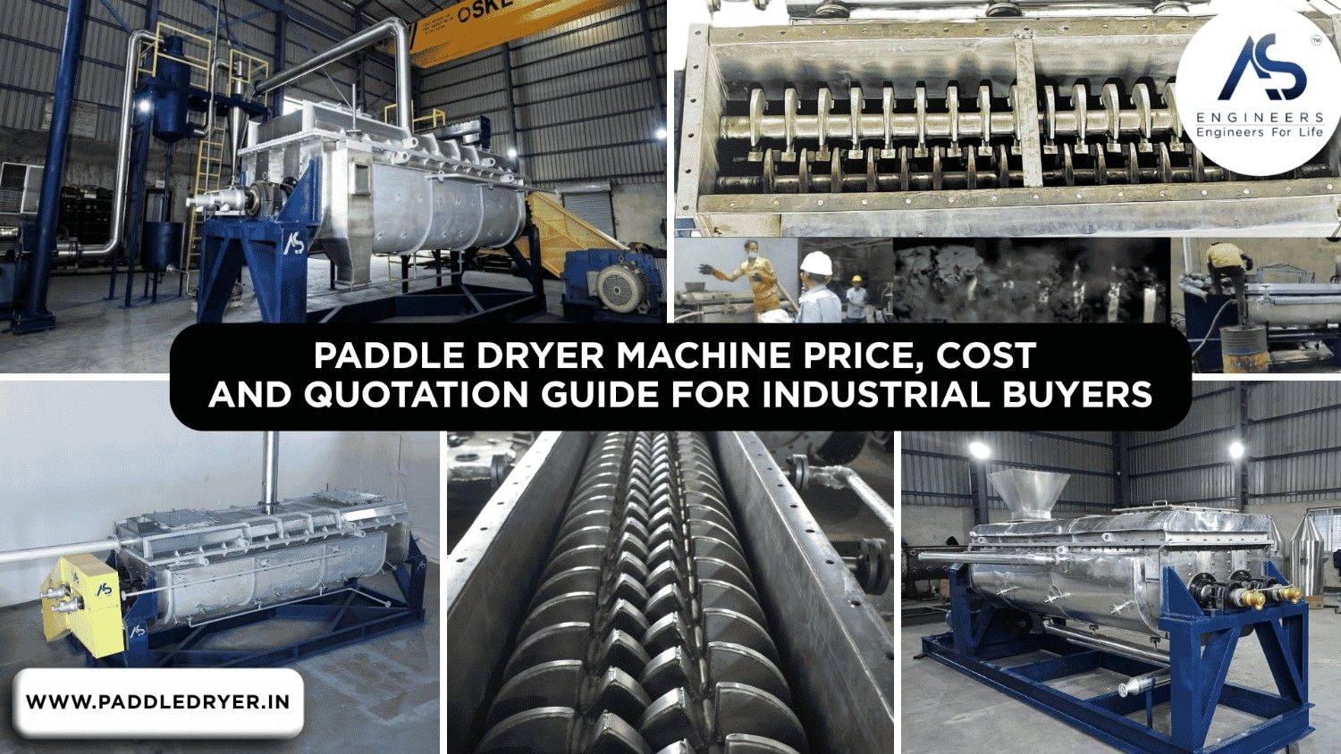 paddle dryer