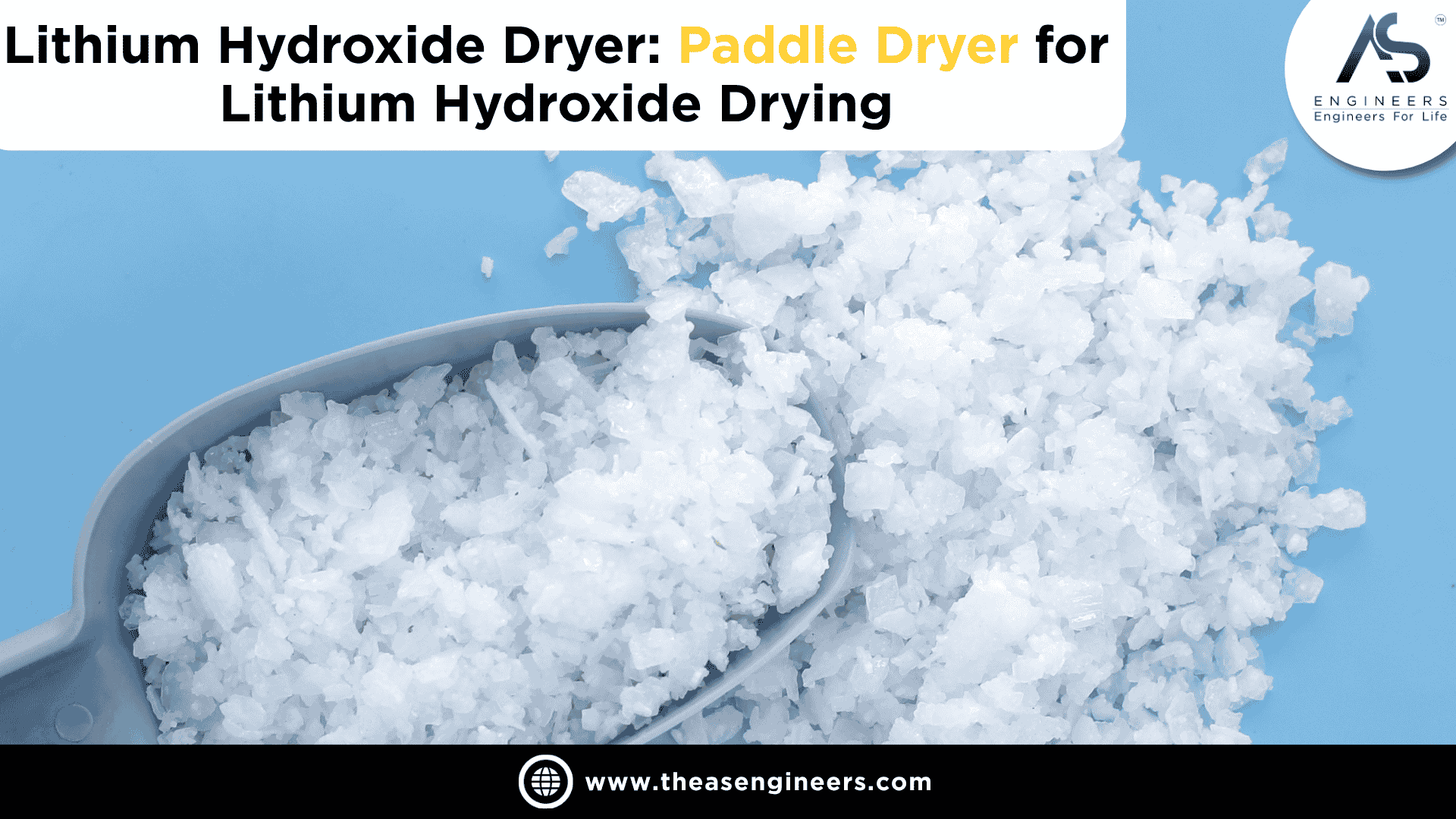 paddle dryer